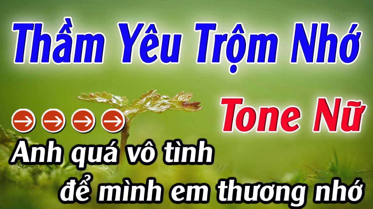 Karaoke Thầm Yêu Trộm Nhớ Karaoke Tone Nữ Beat Hay Nhất 2026 Karaoke Mê Nhạc Sống