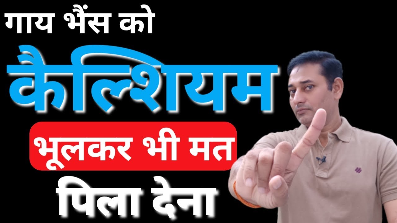 गाय भैंस को कैल्शियम कब दें | Pashu ko Calcium kab dena chahiye | dairyfarming