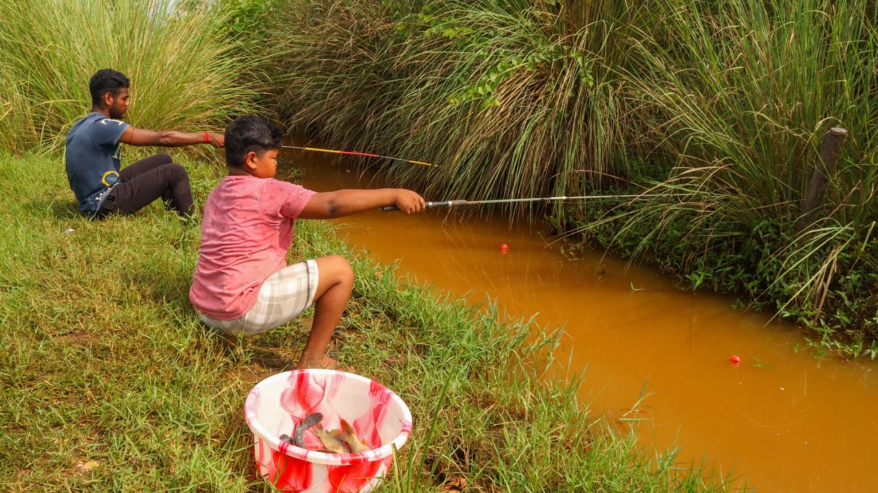 Fishing Video 🐠 🎣 || I would not have believed if I had not seen so many fish in the village canal