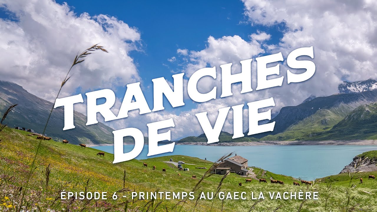 TRANCHES DE VIE - Épisode 6 - Printemps au GAEC La Vachère