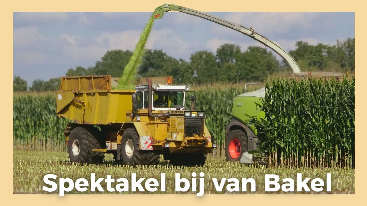 Spektakel Bij Van Bakel | Vredepeel 2025