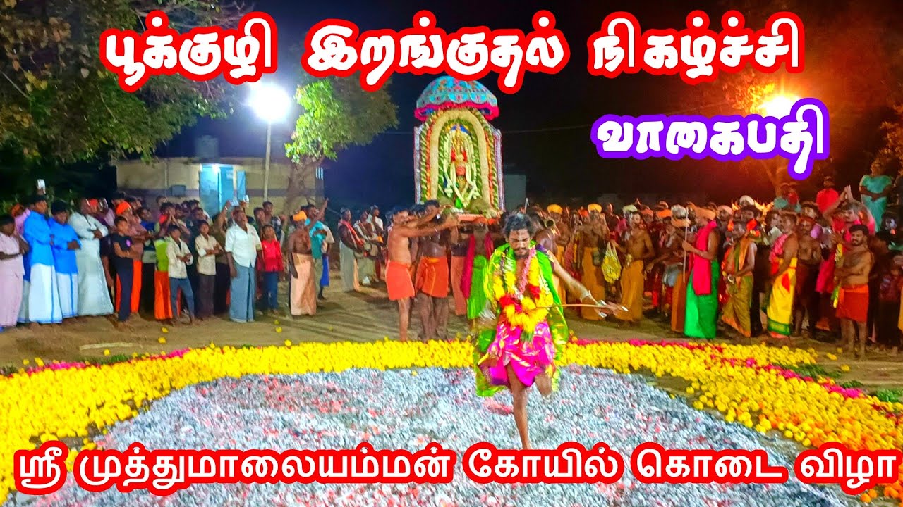 #பூக்குழி இறங்குதல் நிகழ்ச்சி #வாகைபதி #ஶ்ரீ #முத்துமாலையம்மன் கோயில் கொடை விழா #vagaipathi 