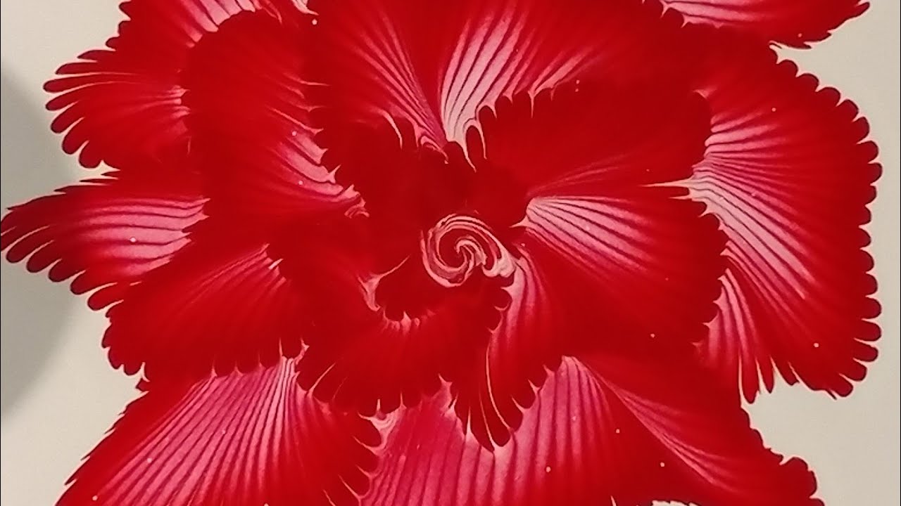 Elegant Chain Pull Rose! (242)