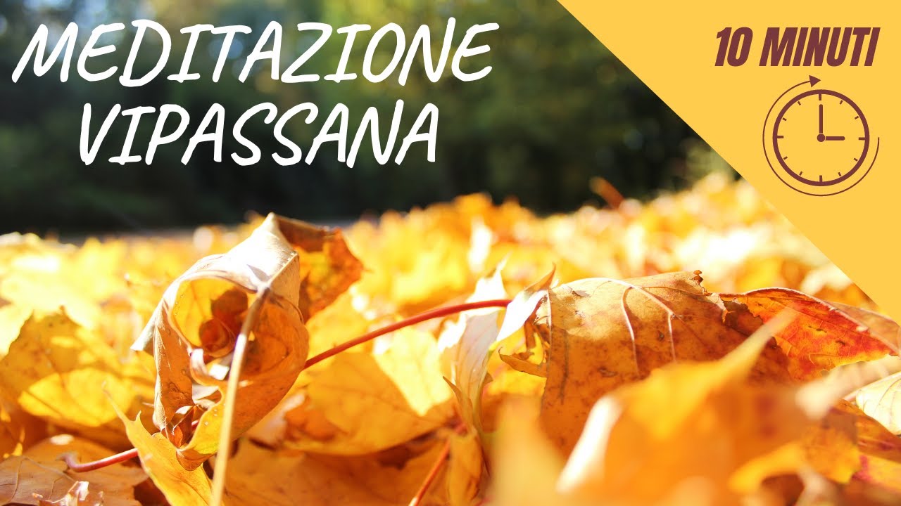 Meditazione vipassana 10 minuti (in qualsiasi momento e luogo)