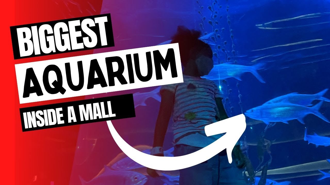 Amazing! JAKARTA AQUARIUM & SAFARI - Biggest Aquarium inside the Mall NEO SOHO