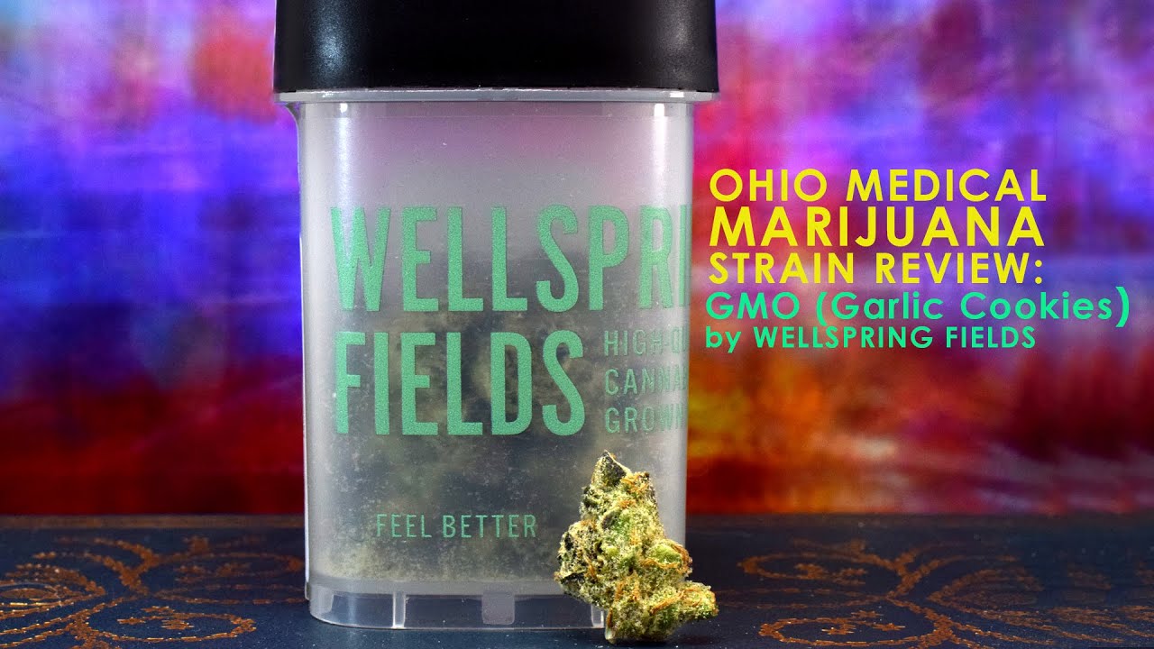 Review: GMO (Garlic Cookies) by Wellspring Fields (Ohio Medical Marijuana Strain)
