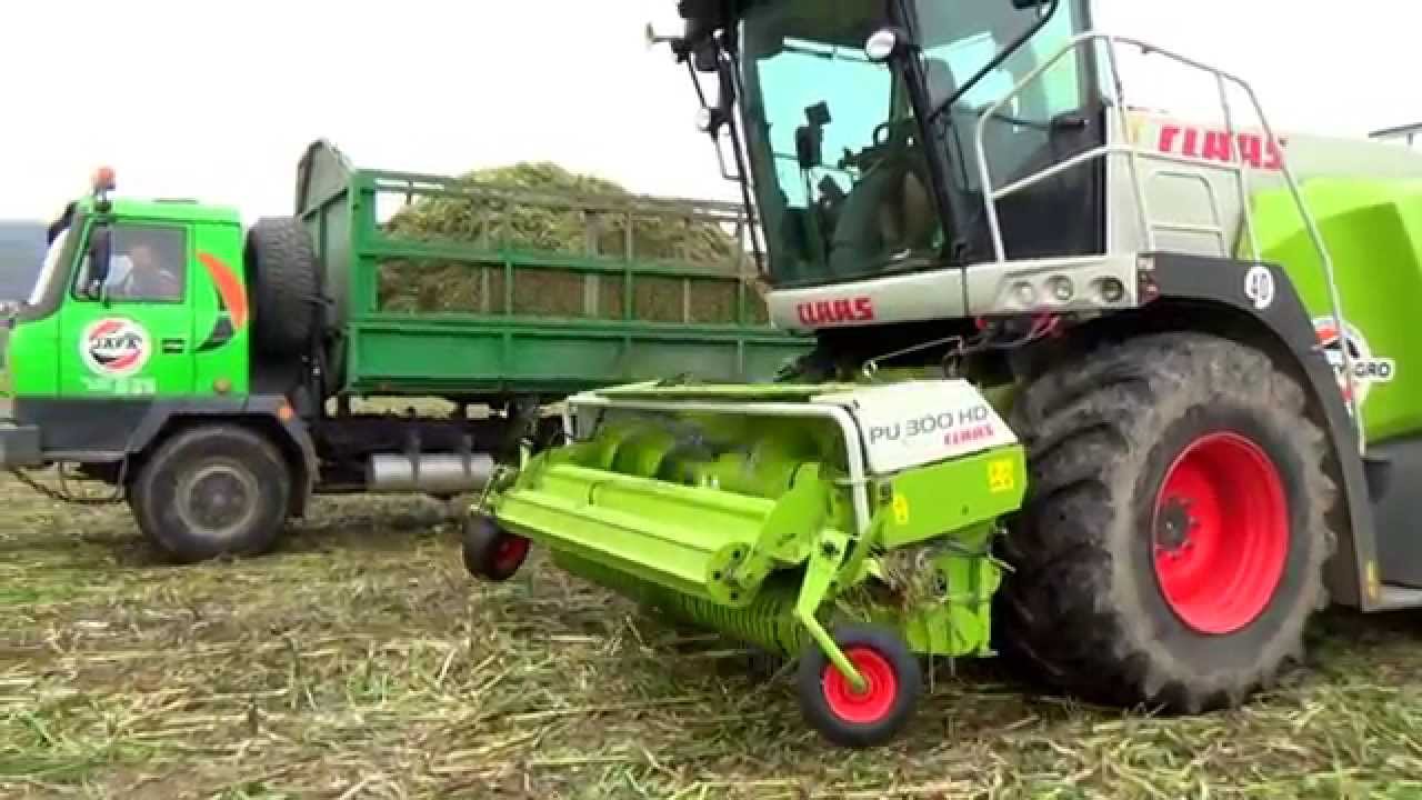 ČIROK  PRO  BPS  / SORGHUM  HARVEST 2014