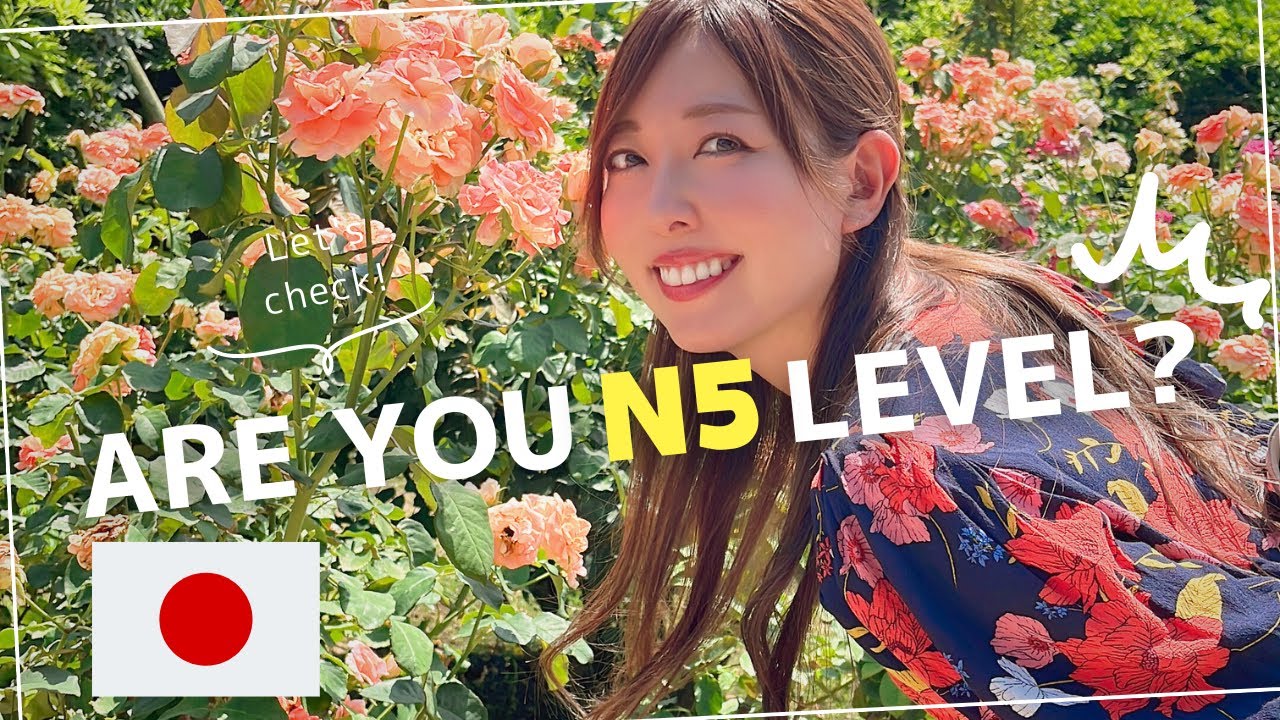 4. If you understand this, you are JLPT N5 level!