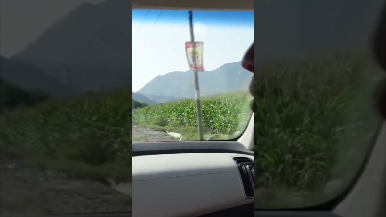 DANI DM ES MUY RUSTICO!