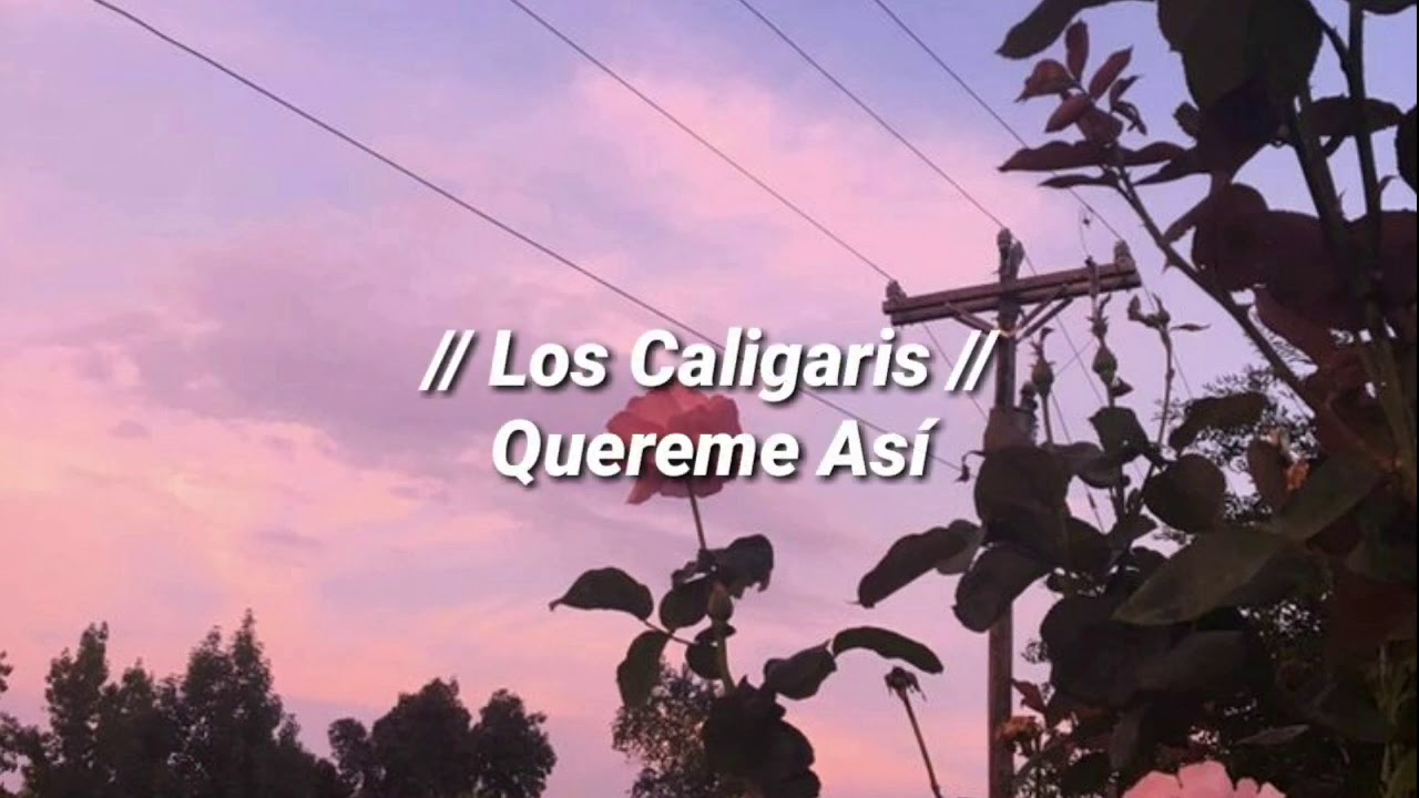 Quereme Así - Los Caligaris (Letra)