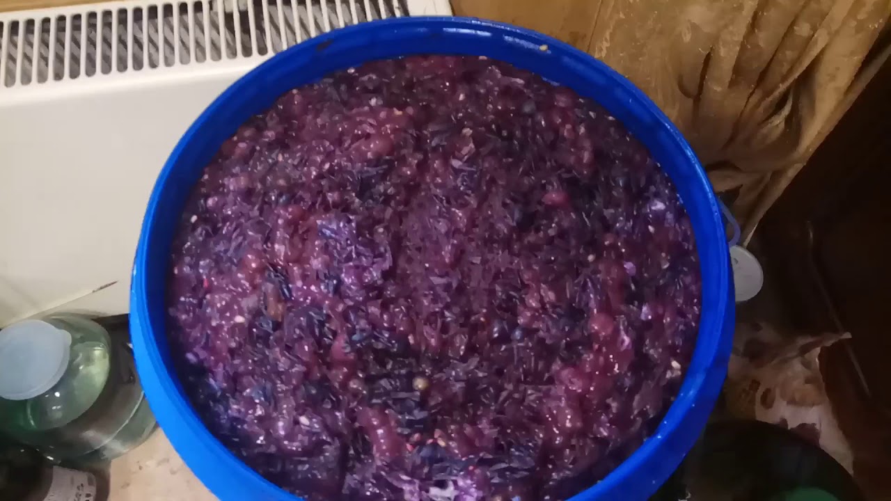 Чача из подмосковного винограда.Изабелла и Розовый.