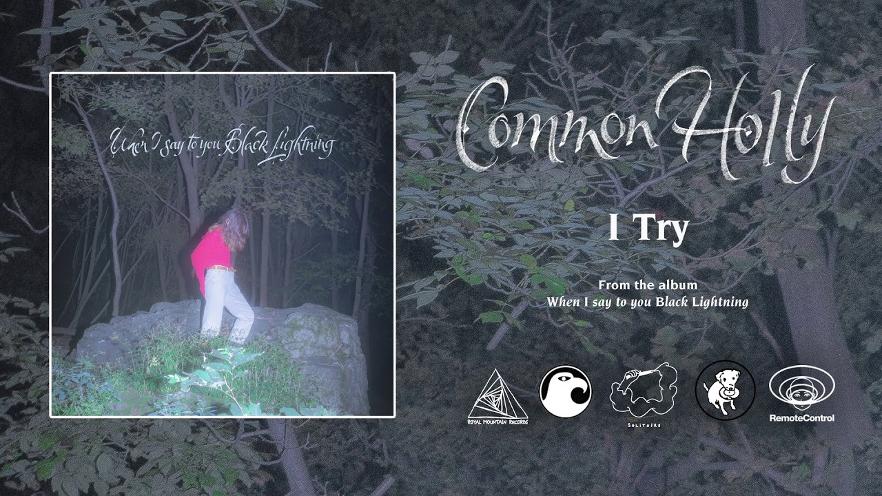 Common Holly - I Try