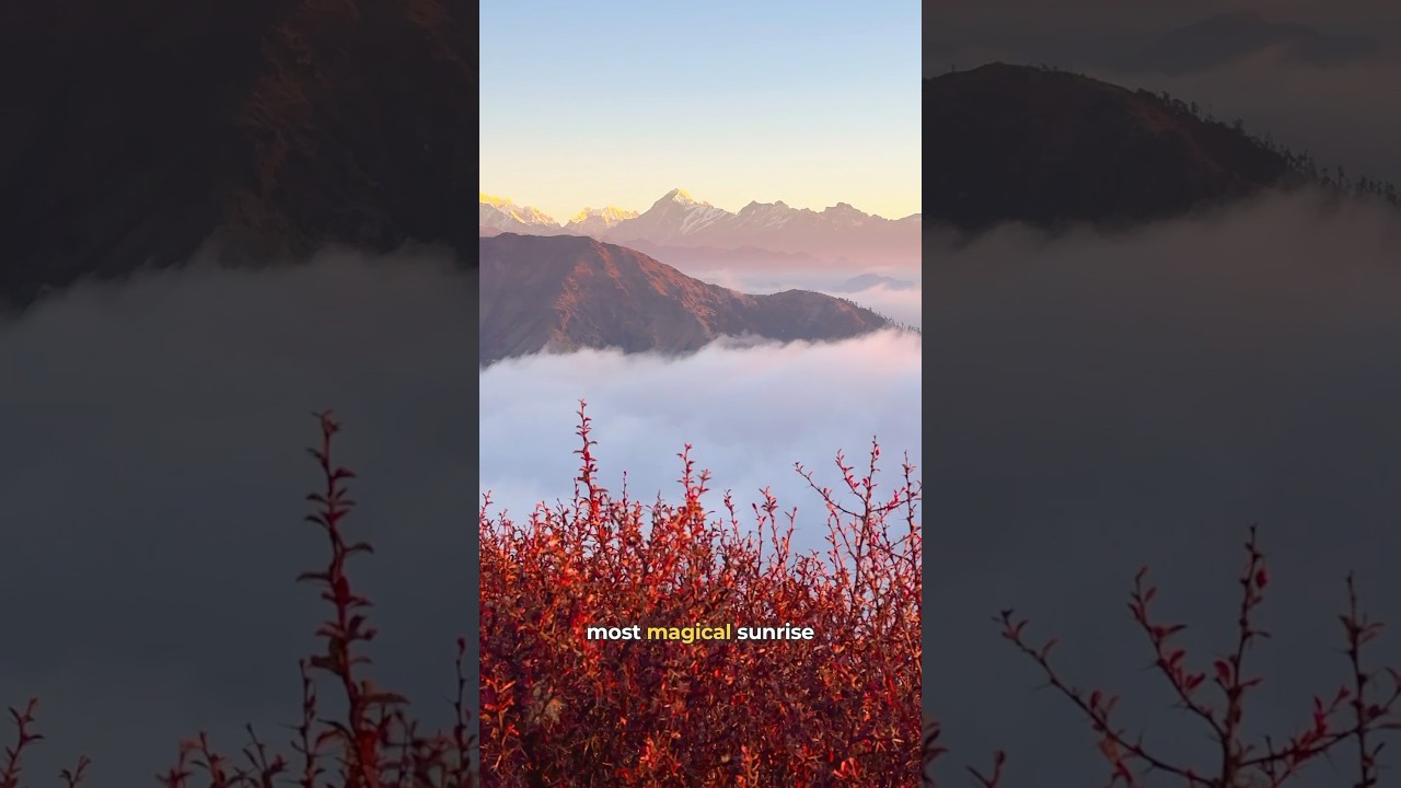 PART-8 | Sandakphu - Phalut Trek Series 😍 #travel #sandakphutrek #mountains #trekking #explore #fyp