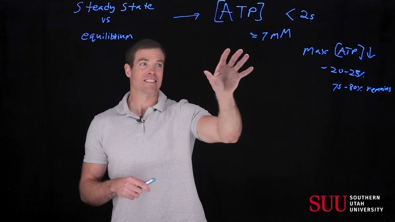 7  KIN 4070   Steady State