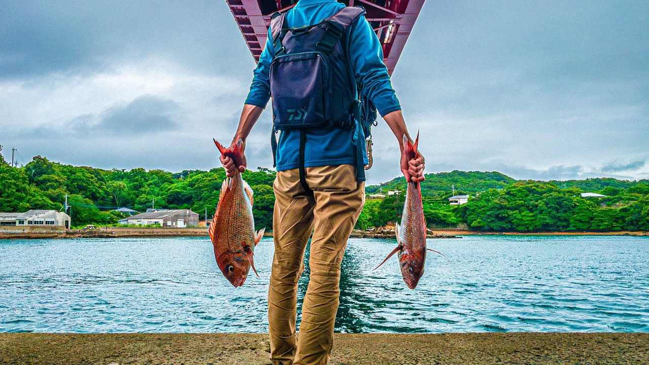マダイが岸から簡単に釣れる、この釣りがすごすぎる