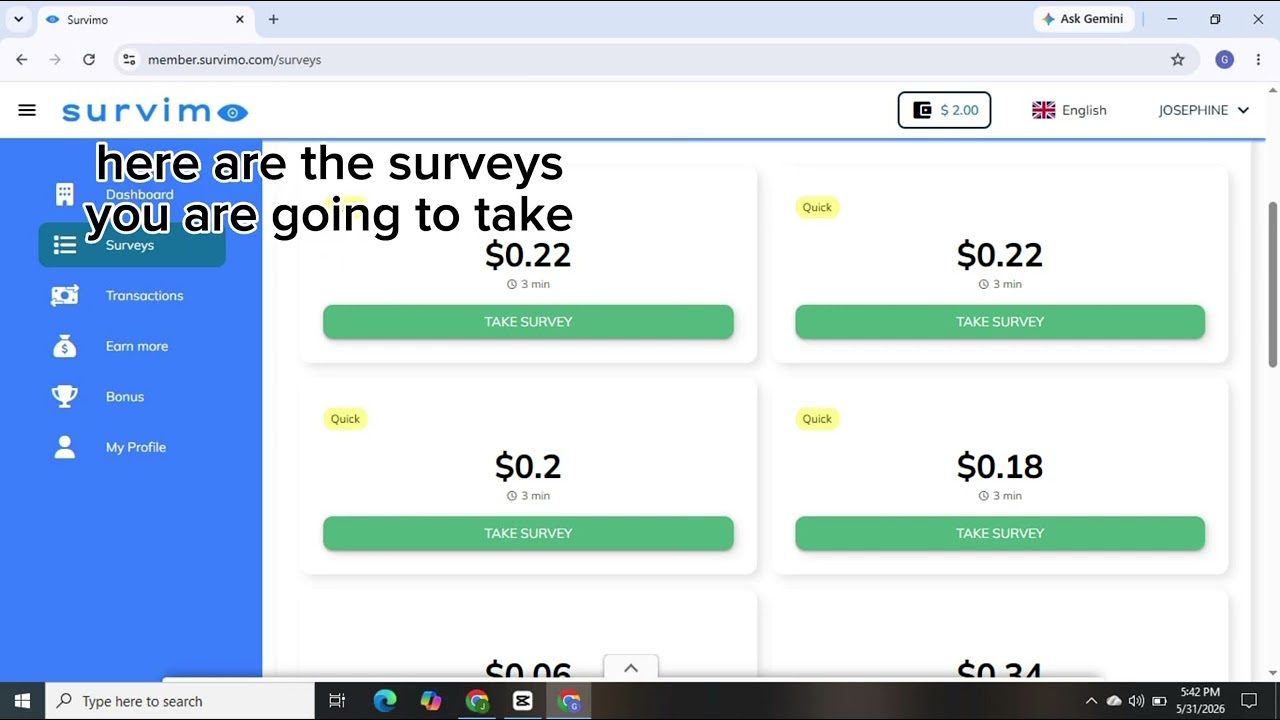earn money online through survey 
