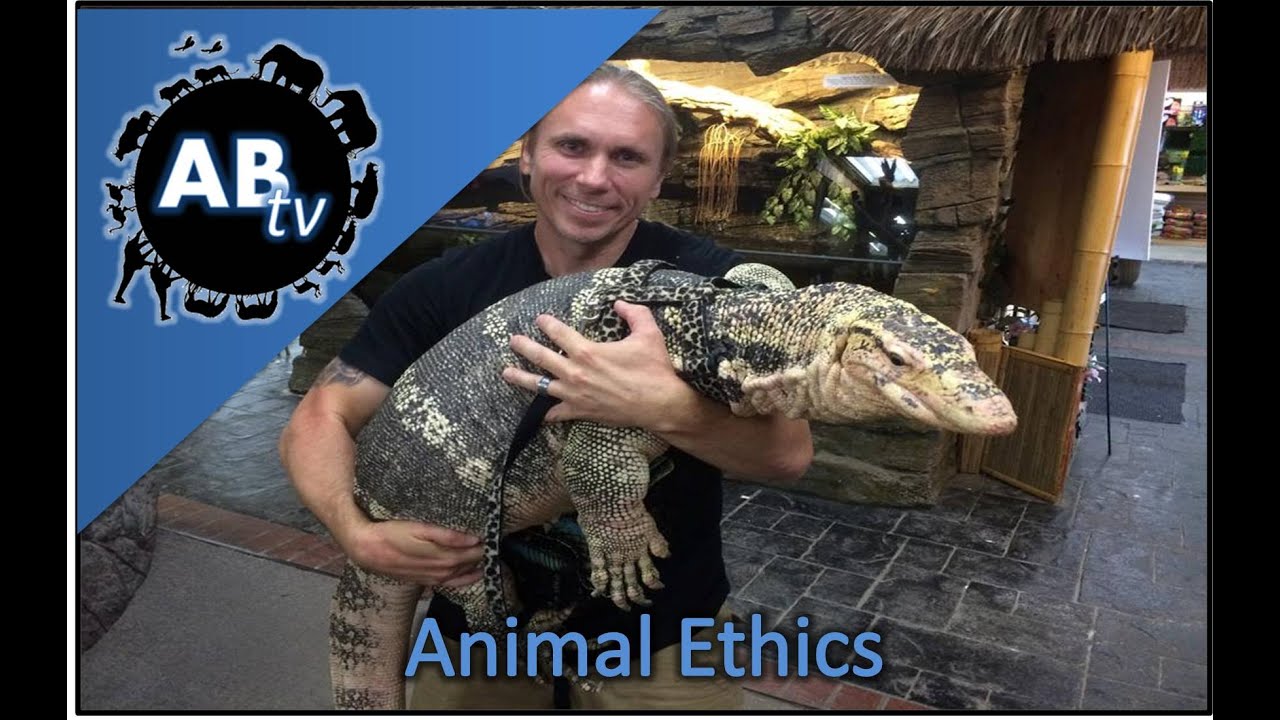 Animal Ethics : SnakeBytesTV : AnimalBytesTV