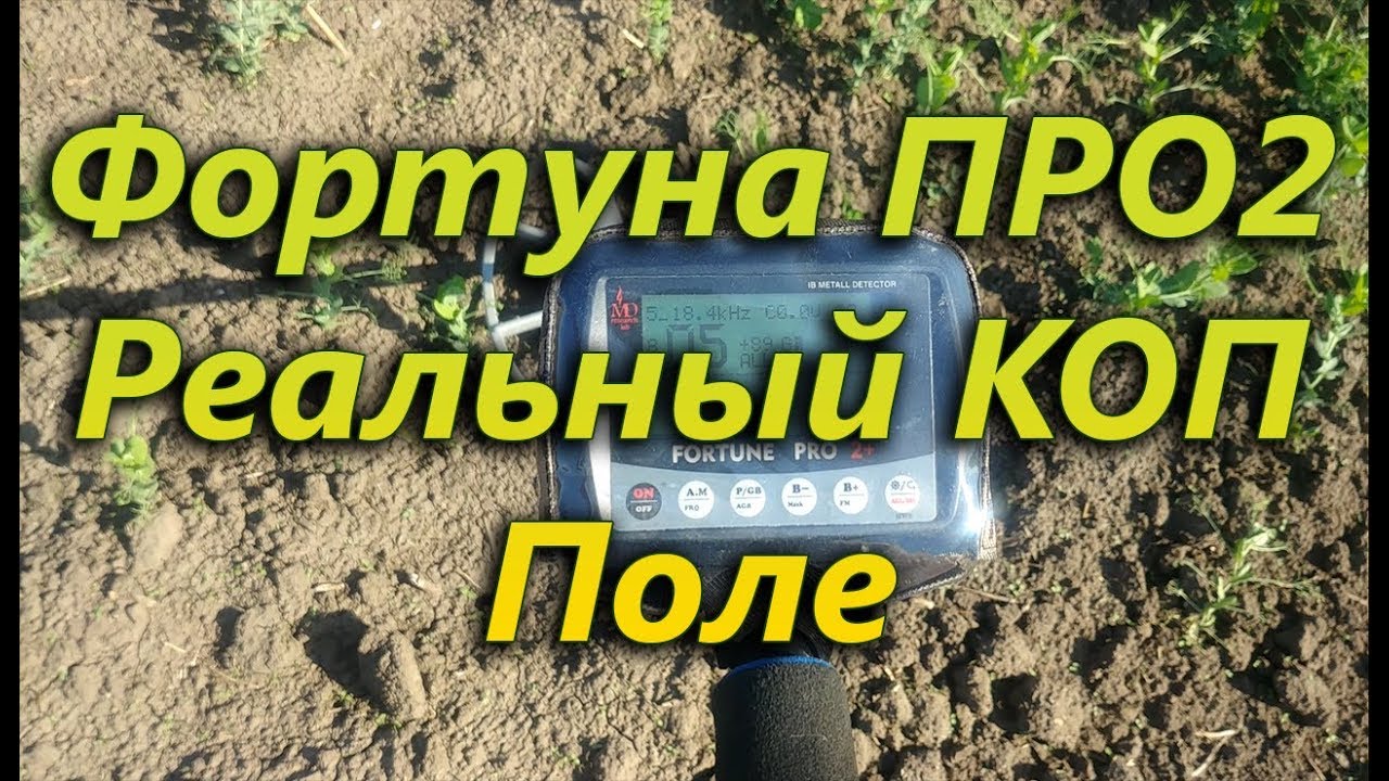 Фортуна ПРО2  Реальный коп на поле
