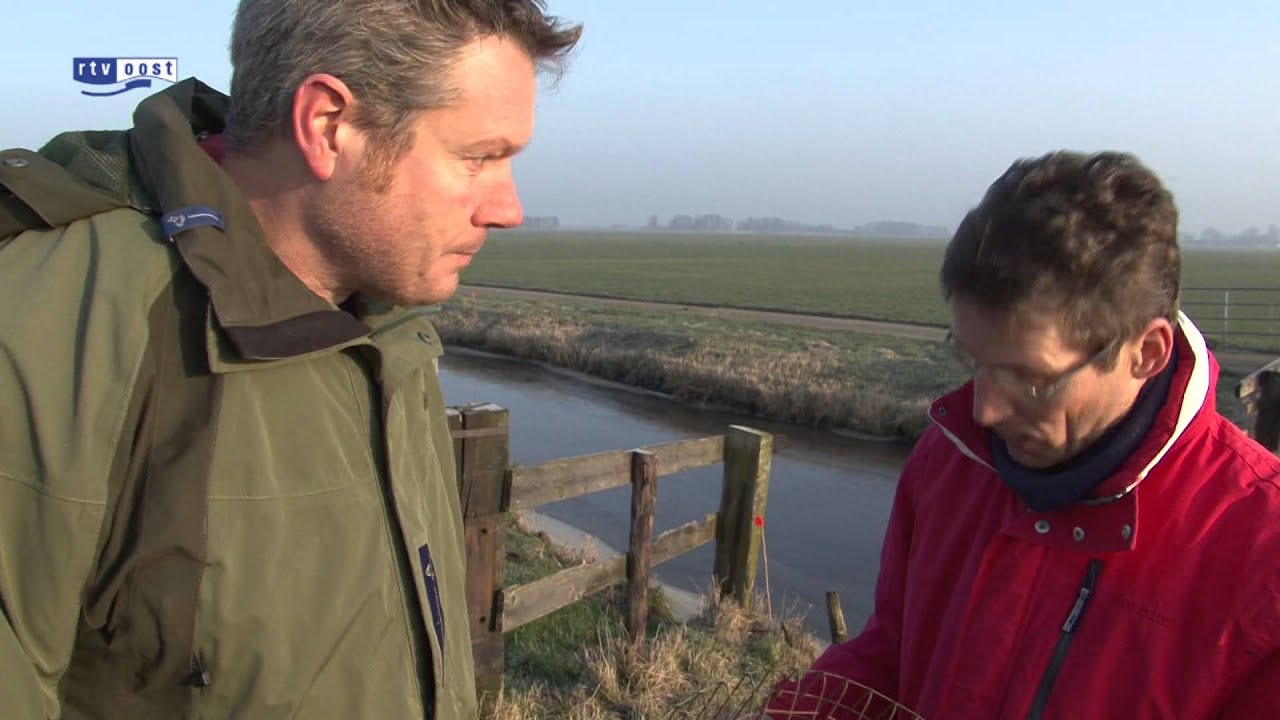 Natuurmonumenten ontevreden over rattenvallen na dood twee otters