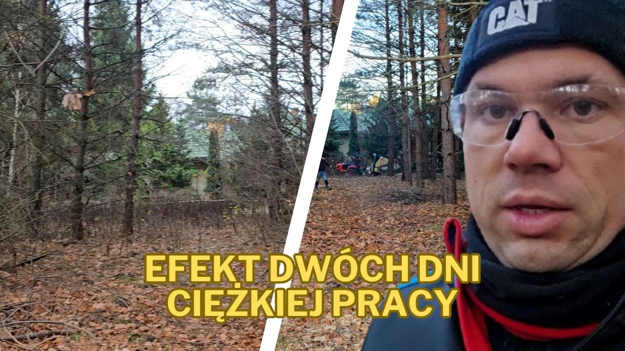 Tak wygląda 2 dni prawdziwej roboty - czyszczenie działki, rębak i mini traktor