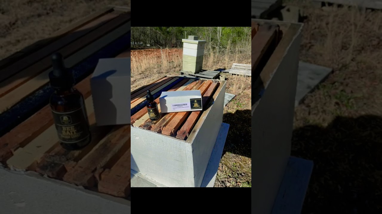 Bee Bait Swarm Lure/Attract More Honey Bees to Your Bait hive 🔗⤵️🐝❤️⤵️🔗