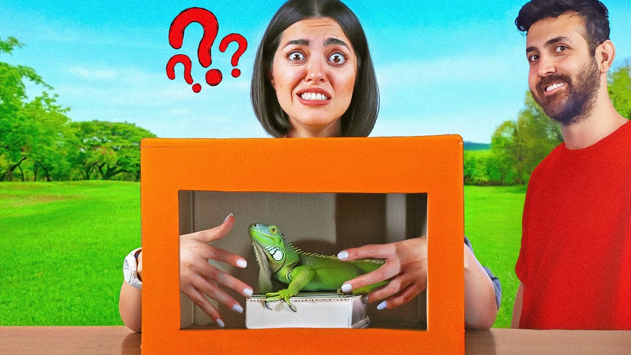 چالش حدس بزن تو جعبه چیه با حیوونای واقعی 😭 WHAT'S IN THE BOX
