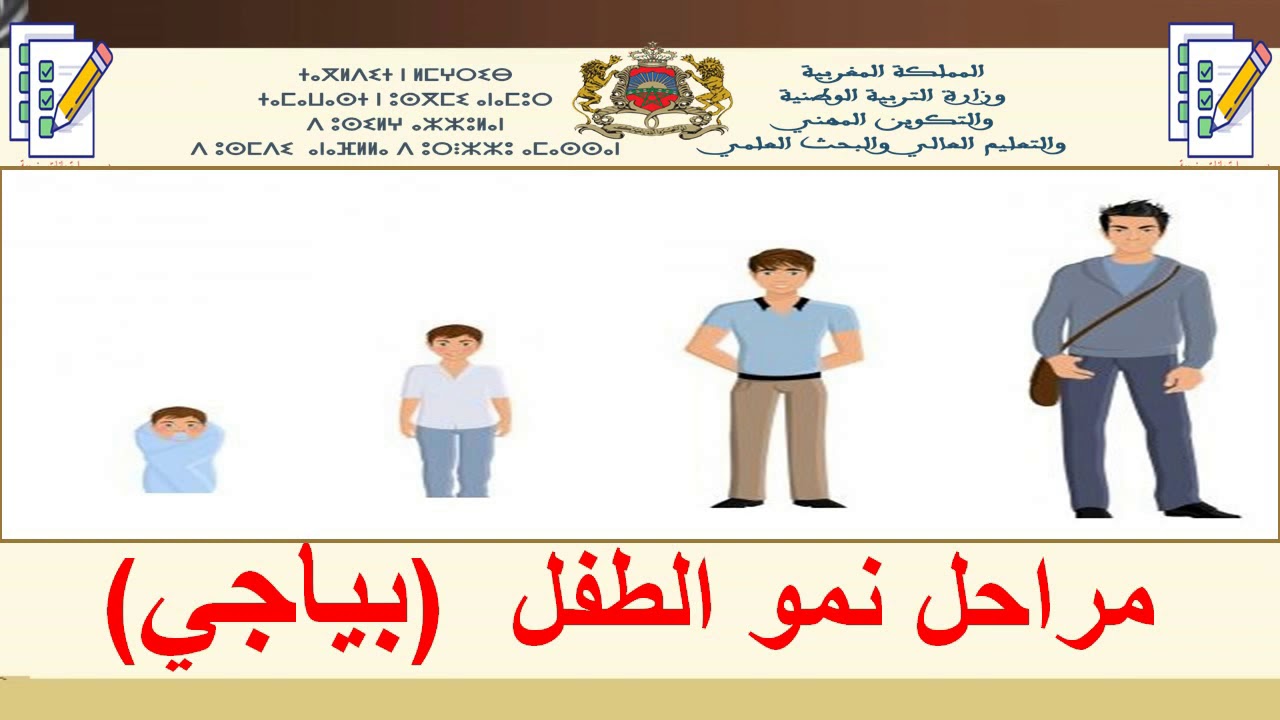 ديداكتيك السلك الابتدائي 9 | مراحل النمو المعرفي للطفل حسب جون بياجي