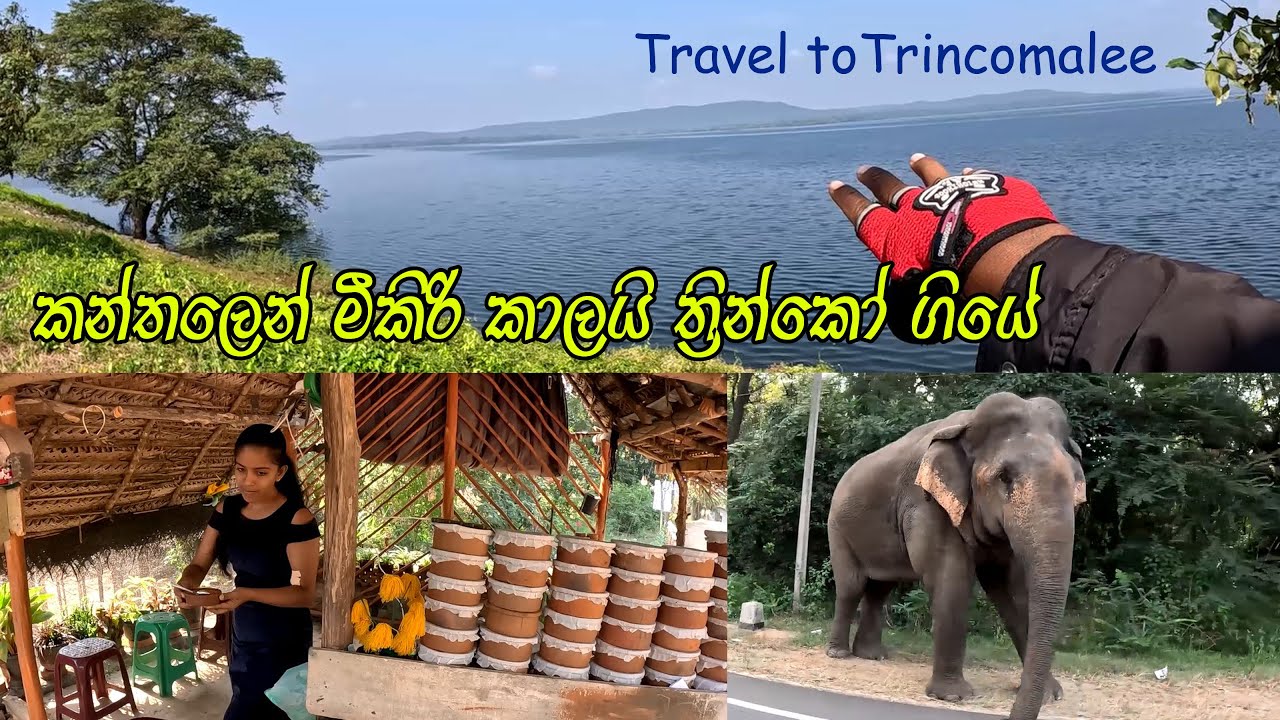 සත්දන්ත අලි පාරේ උදේට😍 On the way to Trincomalee 🧡 උදෙන්ම උණුවෙන් රොටි කාලාම ගියා 😍 Sri Lanka 🧡