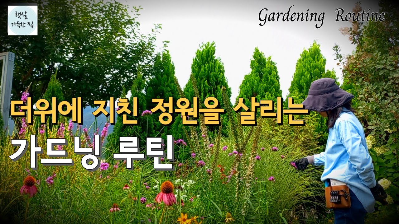 단정하고 예쁜 정원을 위한😊6년차 가드너의 손길/Gardner's 6th-year touch for a neat and pretty garden