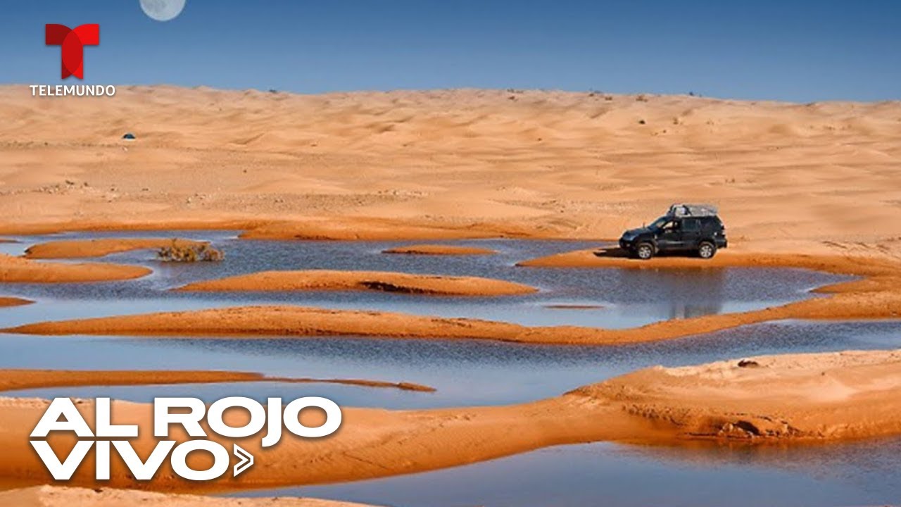 Brota agua en el desierto del Sahara tras una rara lluvia