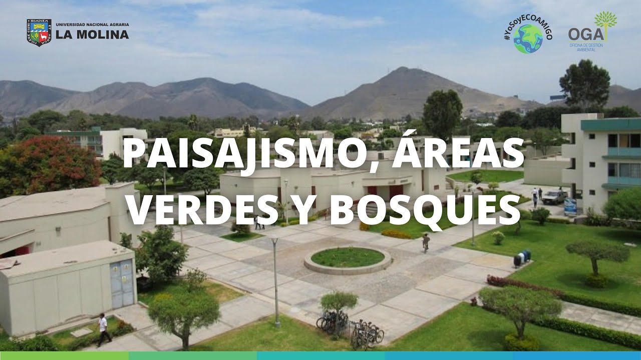 &Aacute;reas verdes de la Universidad Nacional Agraria La Molina.