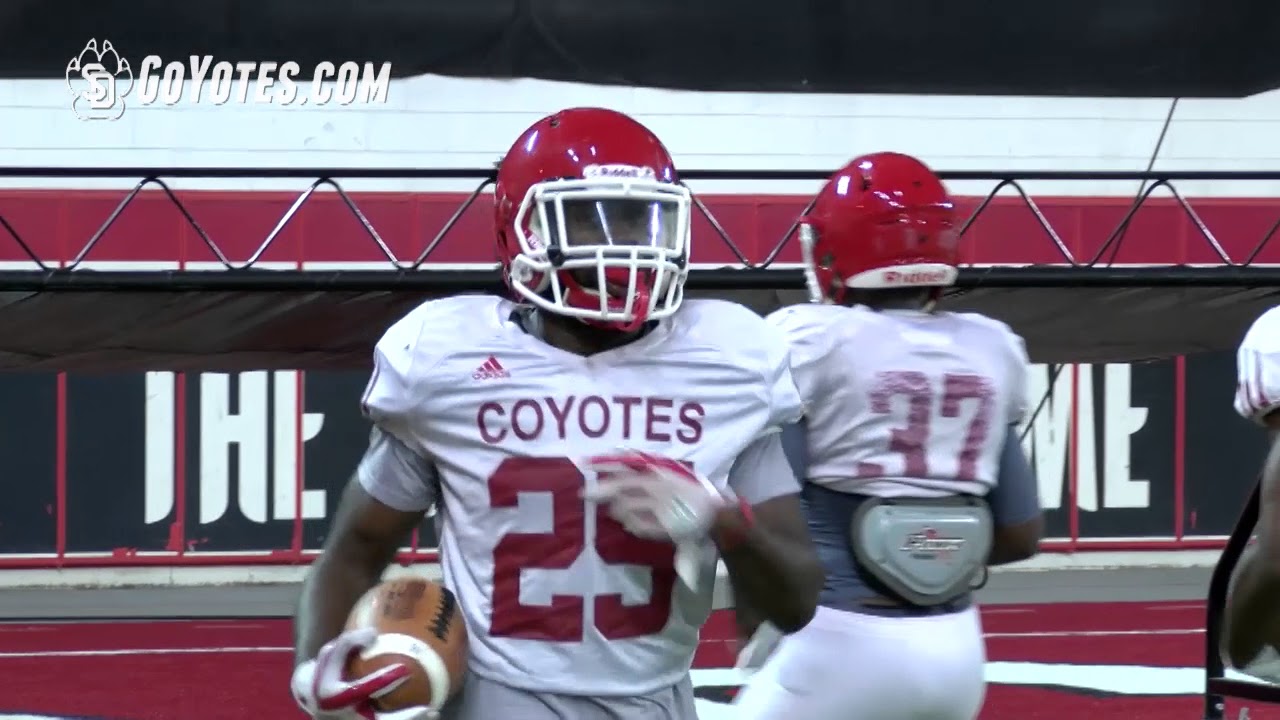 Football Position Breakdown: Running Backs