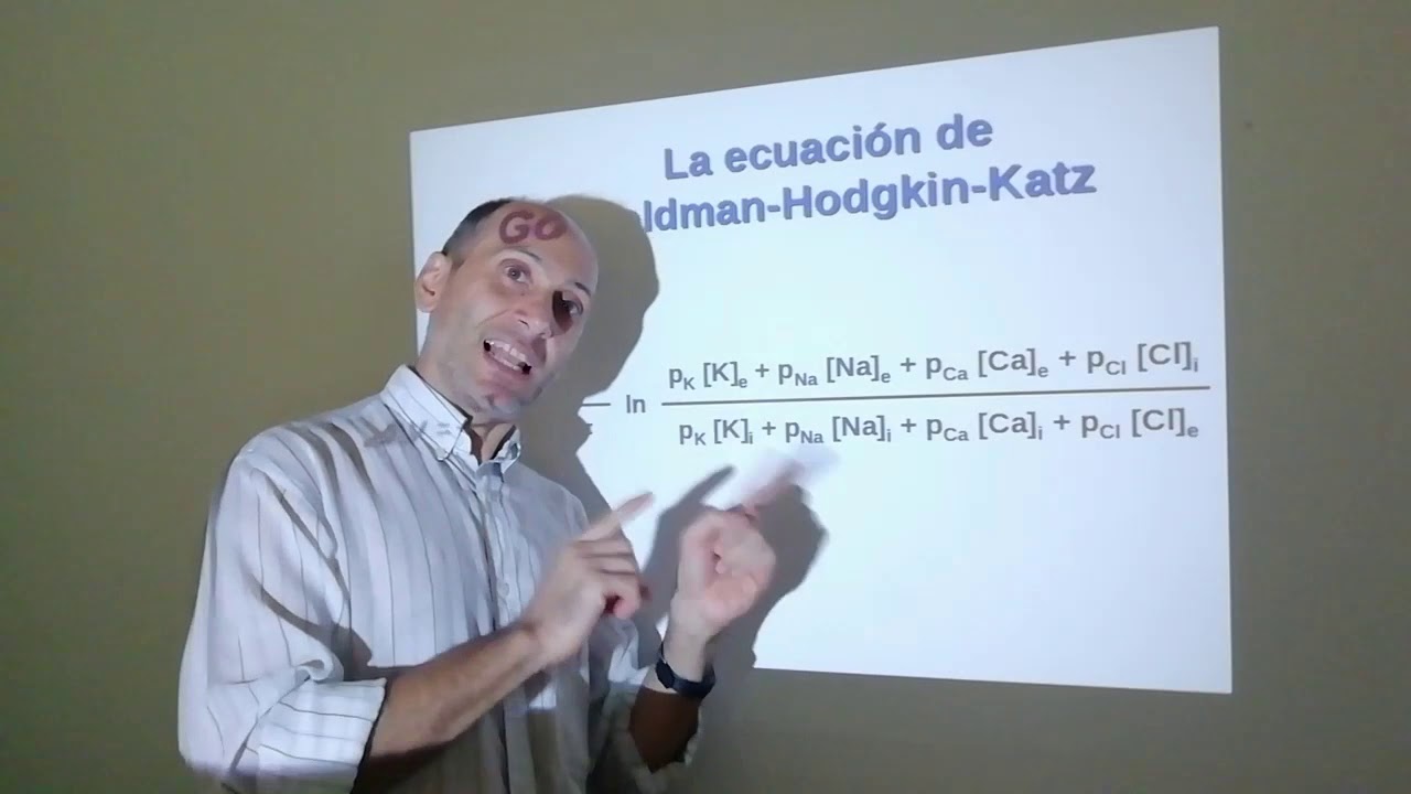 Bioelectricidad. Parte 4: Potencial de membrana en reposo y ecuación de Goldman, Hodgkin y Katz