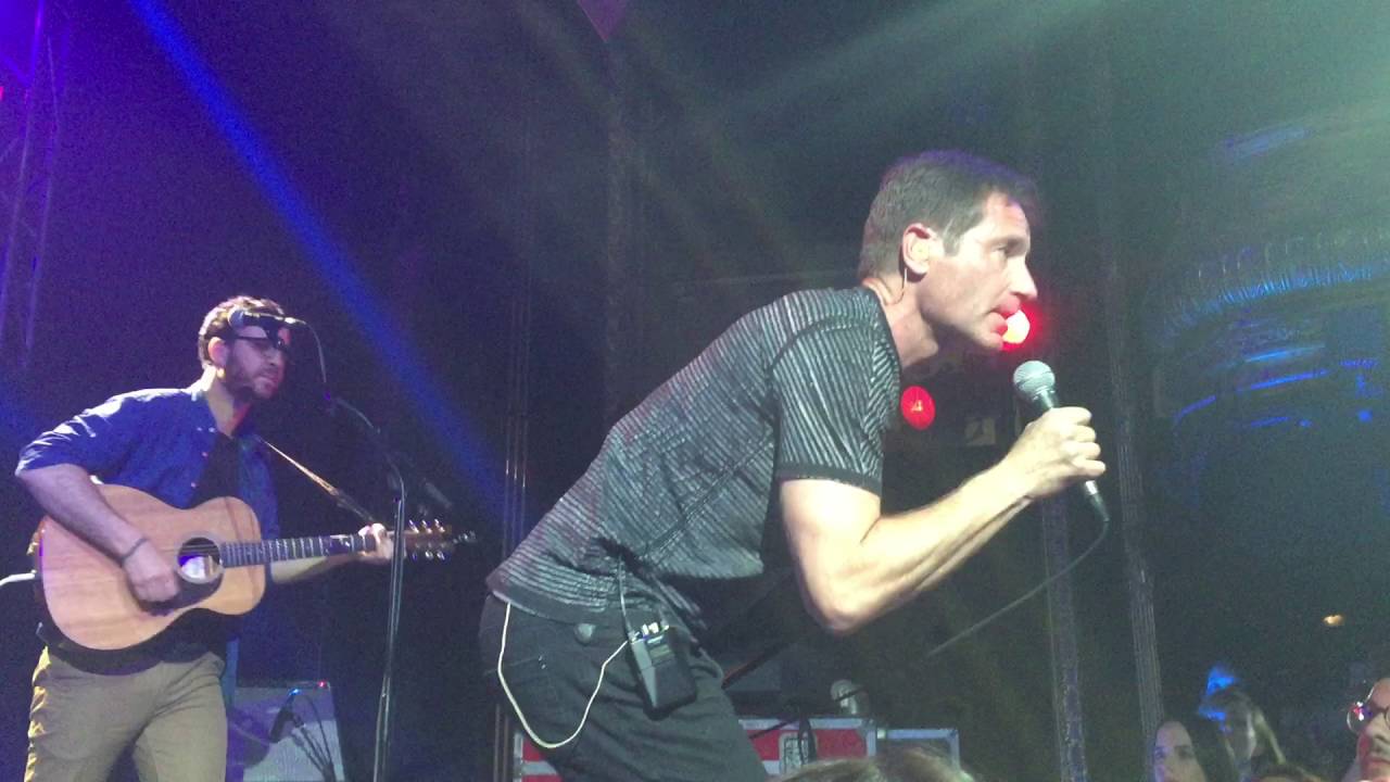 David Duchovny - 