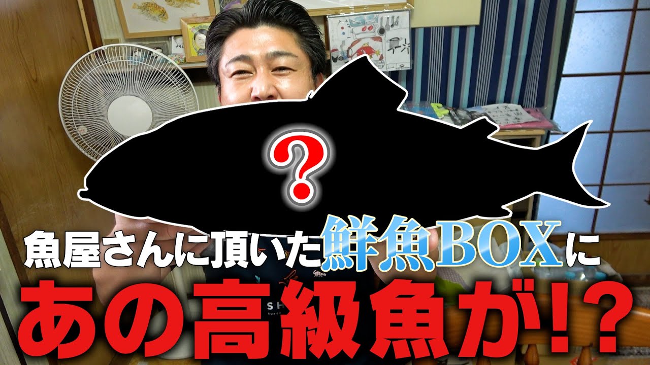 【視聴者からの挑戦状】名古屋のお魚屋さんが作った鮮魚BOXが豪華すぎた！
