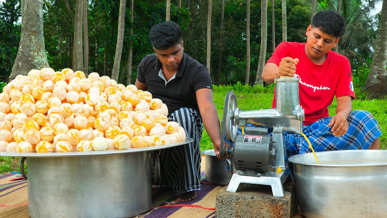 150kg CITRUS JUICE | 150kg Citrus Orange Fruits Cutting | Making Fruits Juice In Village