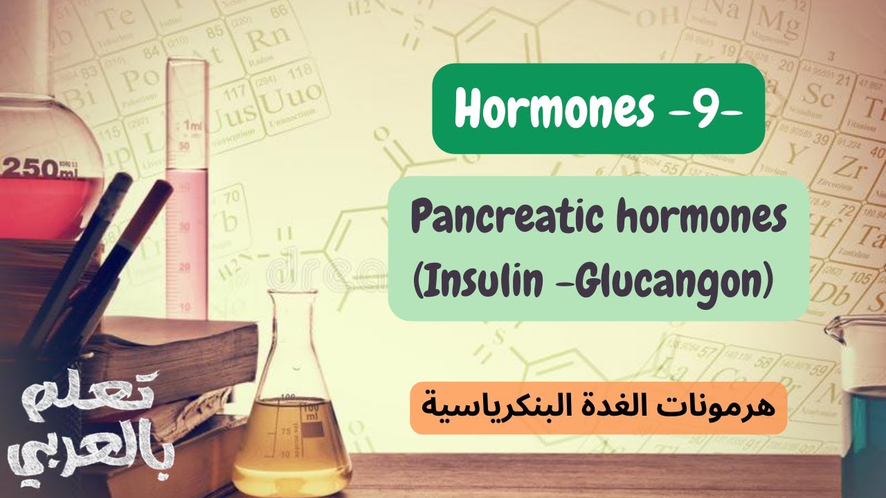 Pancreatic Hormones (insulin , glucagon) - (هرمونات البنكرياس (الإنسولين والغلوكاغون