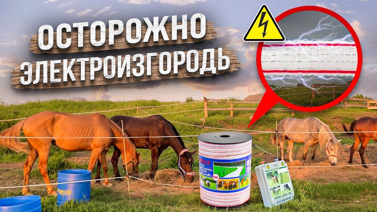ЭЛЕКТРОПАСТУХ для лошадей | Установка электропастуха AGRI