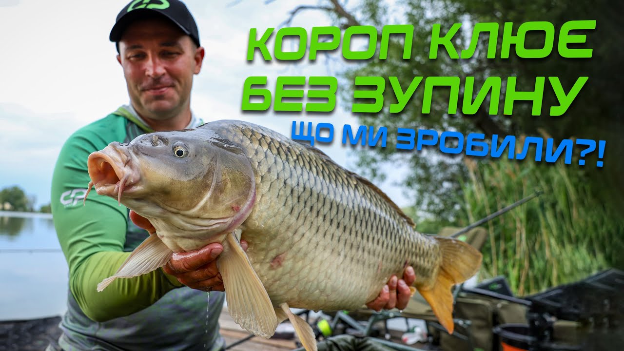 🐟 ДВА ФЛЕТ-ФІДЕРНІ МЕТОДИ для лову ТРОФЕЙНОЇ ТА АКТИВНОЇ риби — отримали НЕЙМОВІРНІ РЕЗУЛЬТАТИ!