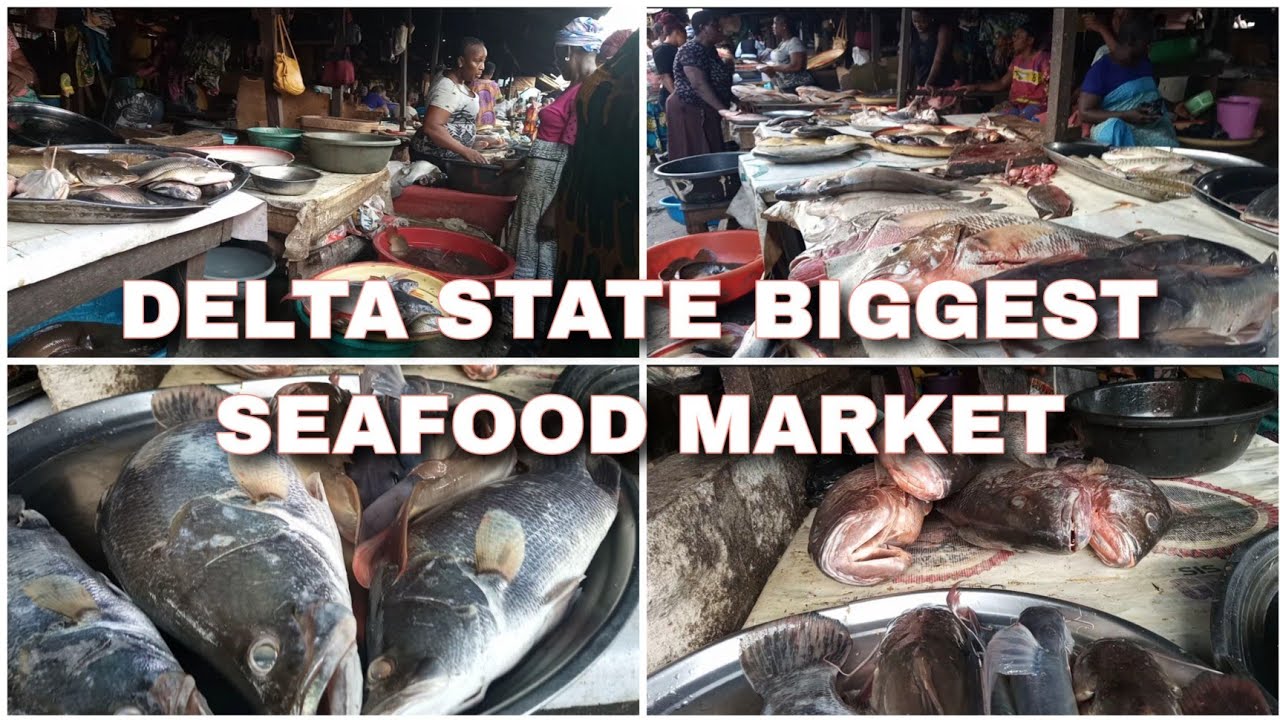WHERE TO GET SEAFOODS IN DELTA STATE //  Inside the biggest seafood market in Warri Delta State