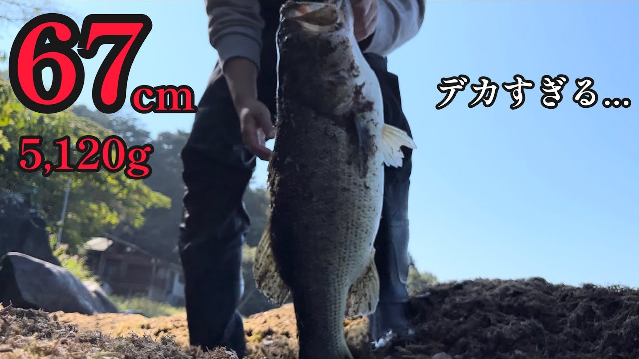 【琵琶湖バス釣り】夢にまで見た余裕のロクマル超え。琵琶湖モンスター捕獲。一部始終、ルアー解説。