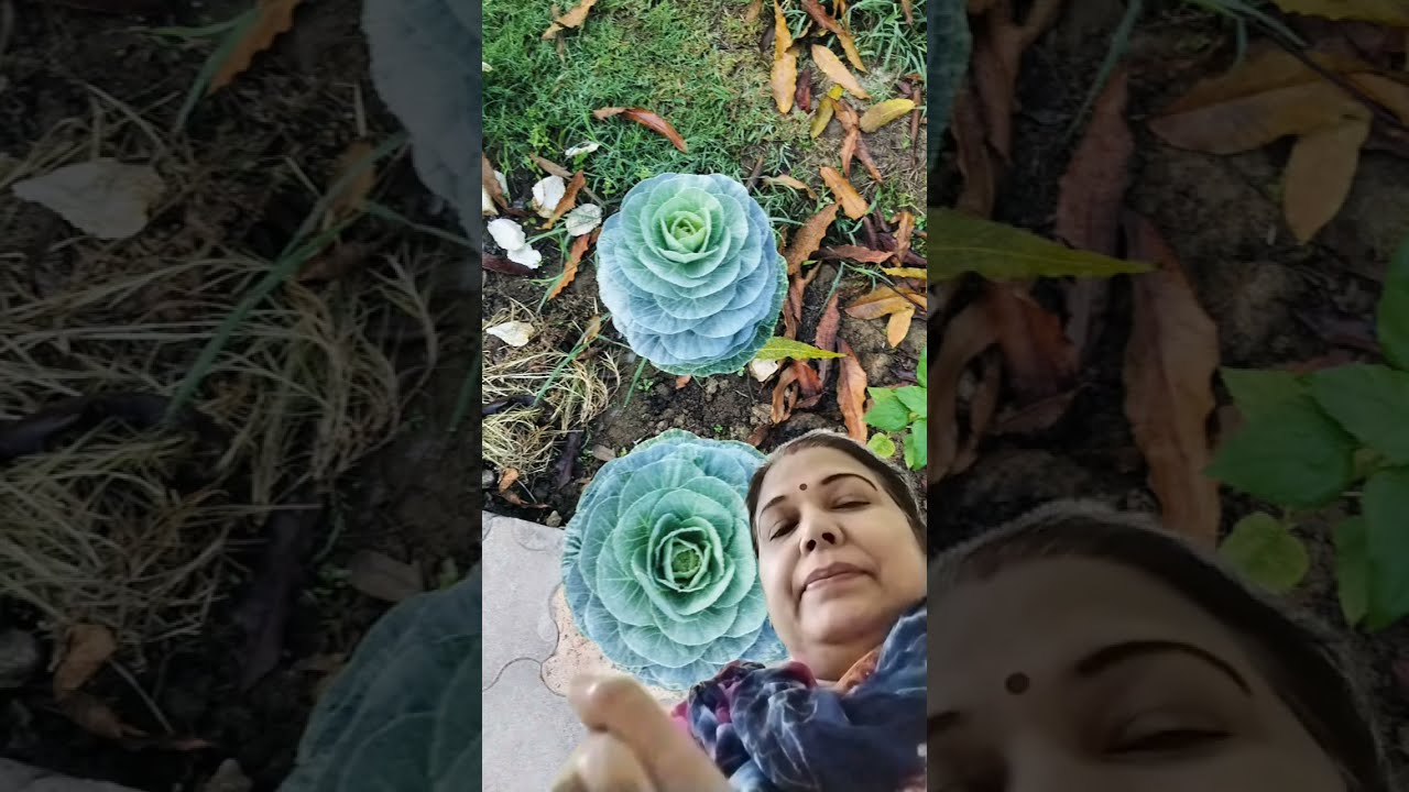 मेरे चैनल पर सभी को रिटर्न गिफ्ट मिलेगा सभी का स्वागत है 🙏
