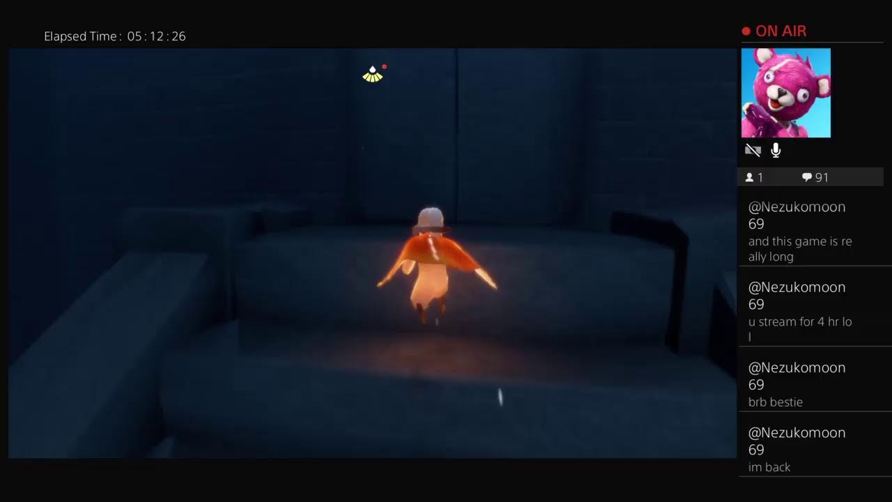 Playing sky