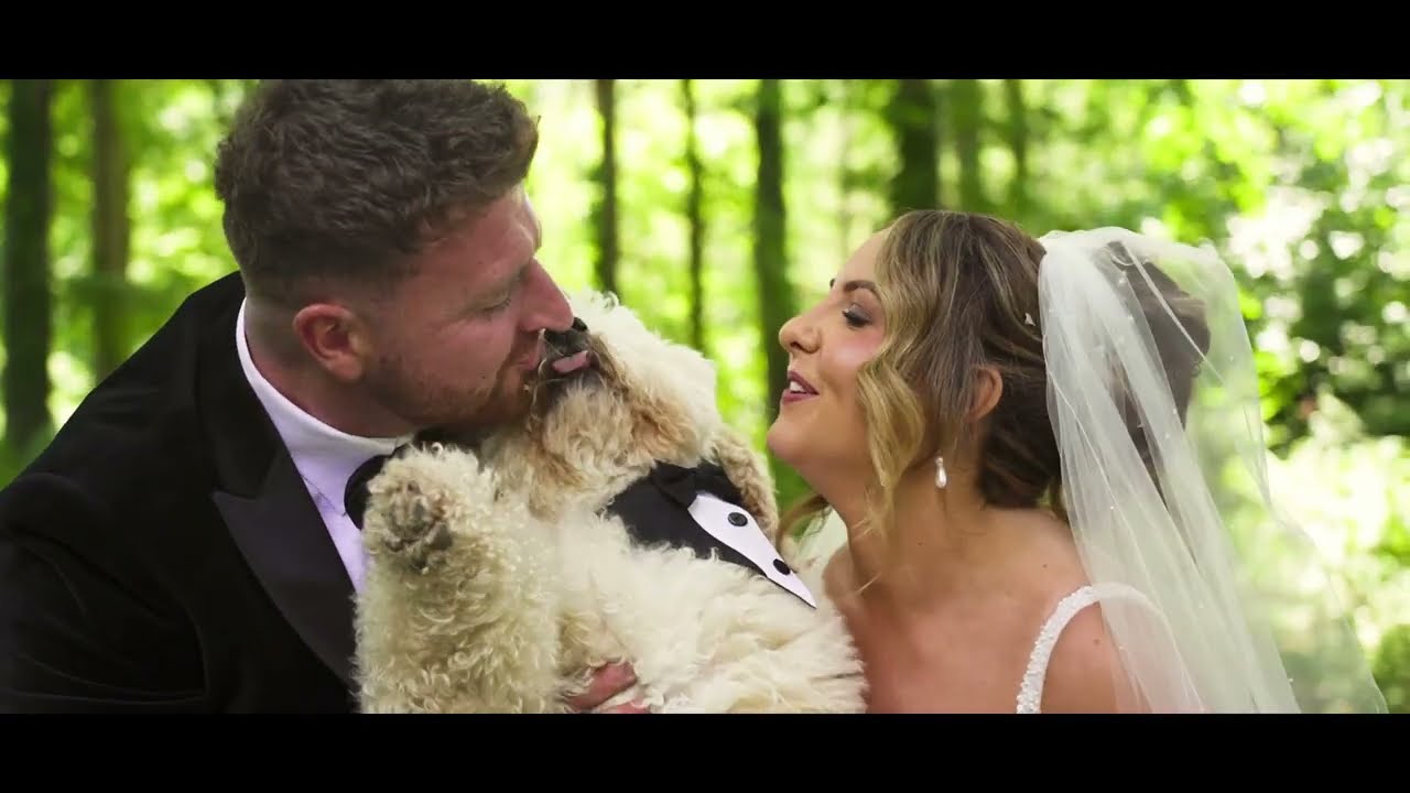 Anna & Niall 💫 - Darver Castle wedding