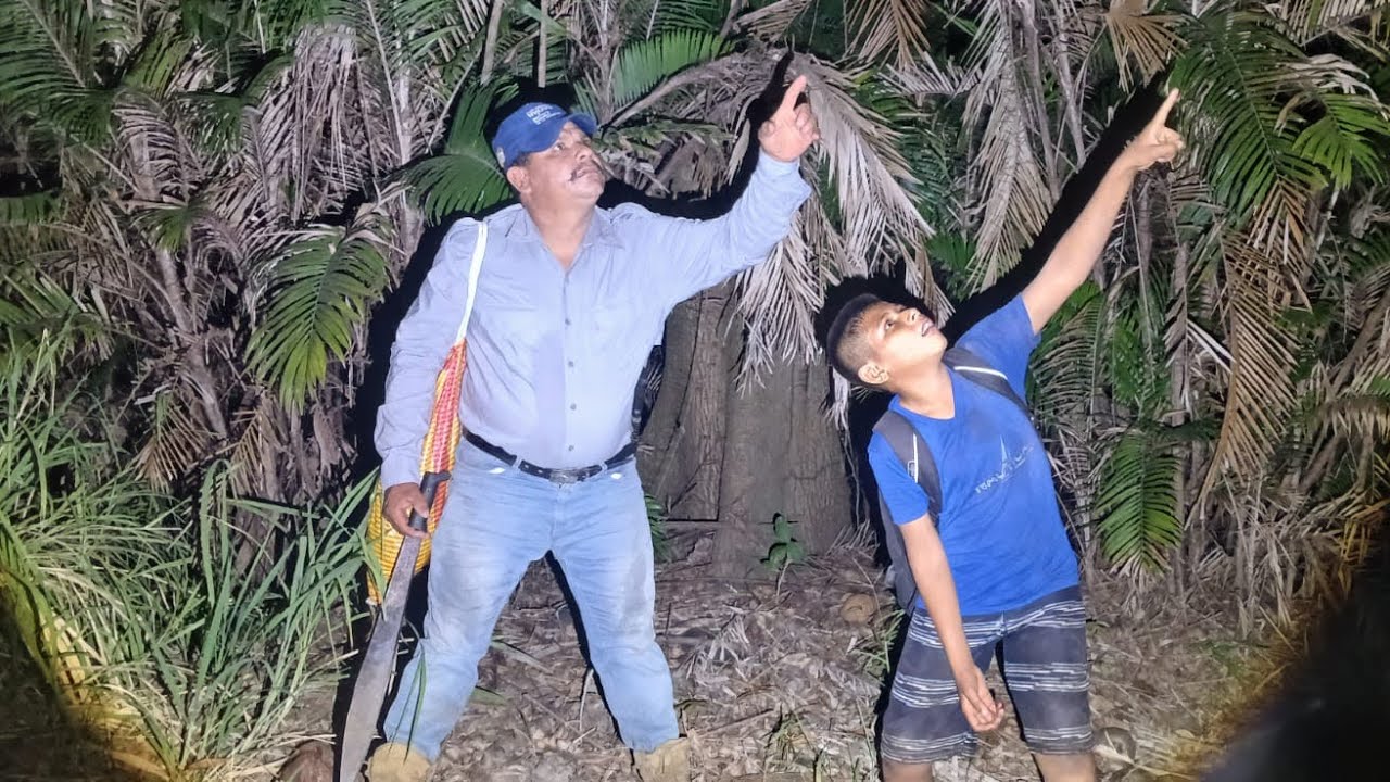 NOS APARECIÓ UNA BURLETA DE NOCHE 😰