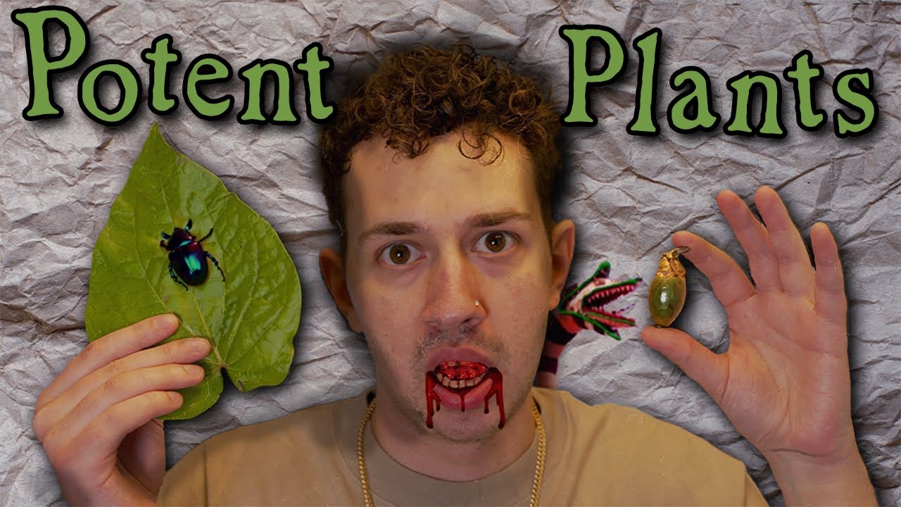 Betel Nut: Asia's Most Controversial Chew