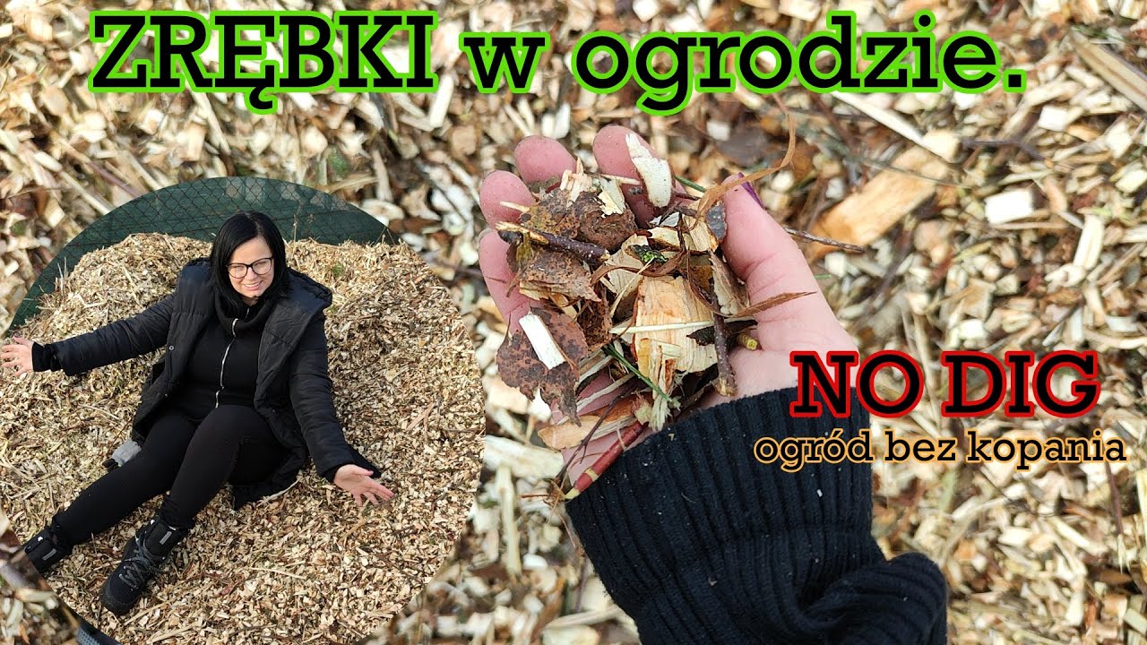 Zrębki w ogrodzie. Permakultura podwyższone grządki. NO DIG bez kopania . Permakultura jak zacząć.