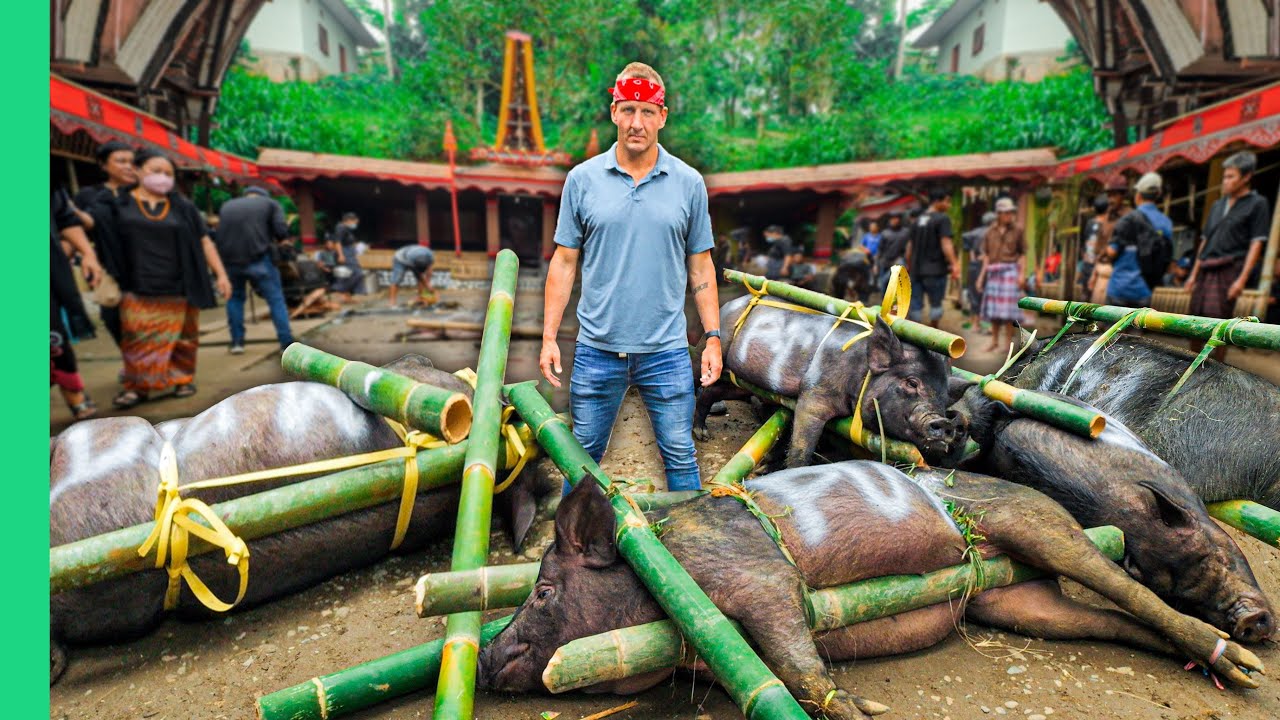 100 Buffalo, 50 Pigs, 1 Funeral!! Indonesia&rsquo;s Costly Journey to Afterlife!!