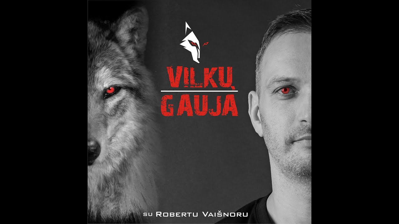 Vilkų gauja -Goda Juocevičiūtė kuo lietuviams turėtų būti svarbu,kad visai nebūtų NT mokęsčio
