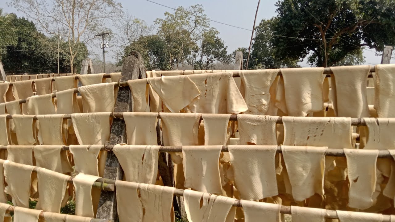 টাঙ্গাইল মধপুরের রাবার কারখানার দৃশ্য। রবার কিভাবে তৈরি করা হয়। Bikrom vai 2.0 volg